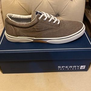 Sperry Halyard SW Chocolate